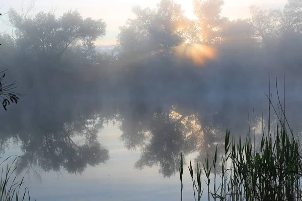 美丽的晨景 雾蒙蒙的江面 — 图库照片