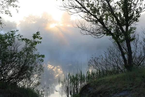 Scena Con Alba Mattutina Sul Fiume Nella Nebbia — Foto Stock