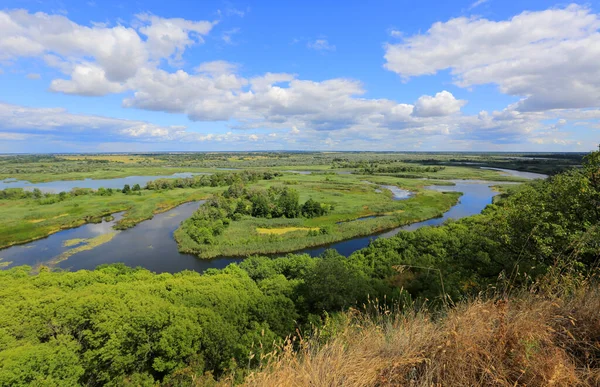 Bela Vista Sobre Rio Delta Partir Colina Tomá Ucrânia — Fotografia de Stock