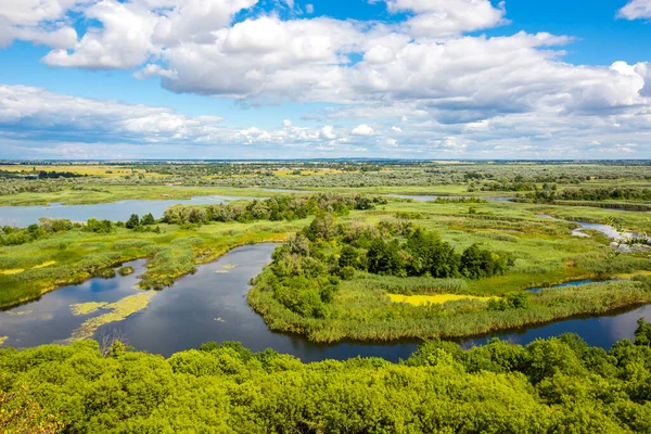 Vista Sobre Río Delta Desde Alto Colina Bonito Paisaje Verano — Foto de Stock