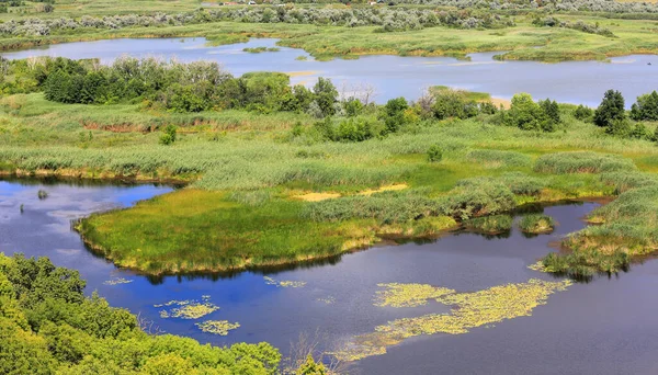 Utsikt Över Deltat Floden Ukraina Nära Poltava Stadsområde Vorskla Floden — Stockfoto