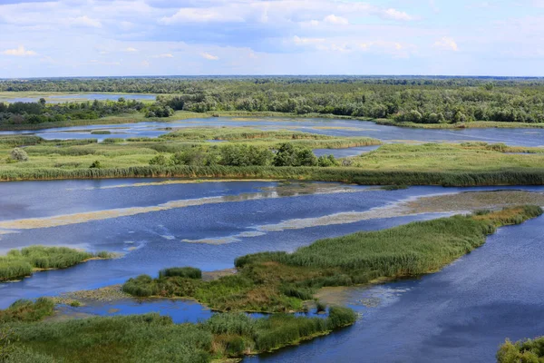 Krajobraz Rzekami Pływającymi Zielonymi Wyspami Rzece Delta Ukraina — Zdjęcie stockowe