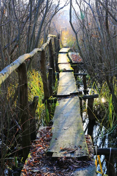 Vieux Pont Bois Sur Rivière Dans Forêt — Photo