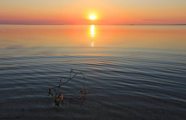 Deniz kıyısında güzel bir günbatımı sahnesi