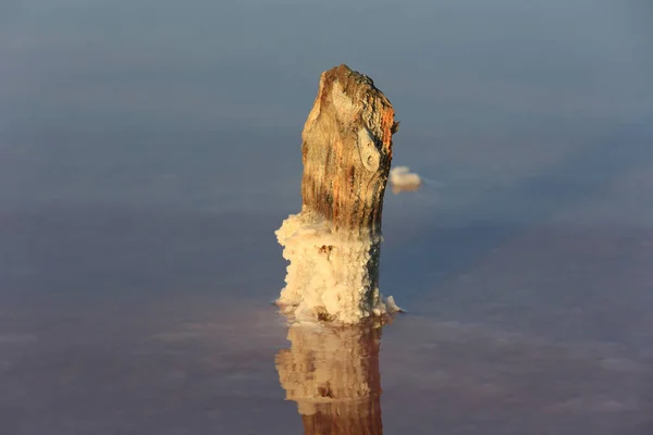 Старый Деревянный Столб Соленой Воде Озера — стоковое фото