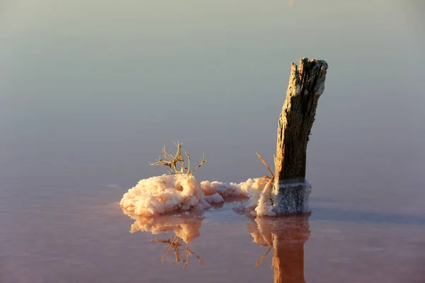 Кристаллы Соли Старом Деревянном Столбе Соленой Воде Озера — стоковое фото