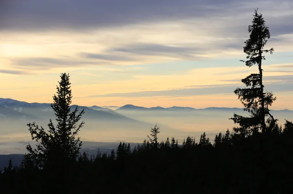 Paysage Soirée Montagne Avec Des Silhouettes Arbres Sur Fond Vallée — Photo