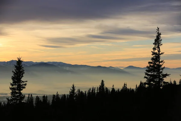 Noite Nas Montanhas Montanha Noite Paisagem Com Árvores Silhuetas Fundo — Fotografia de Stock