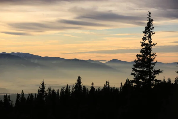 Paysage Soirée Montagne Avec Des Silhouettes Arbres Sur Fond Vallée — Photo