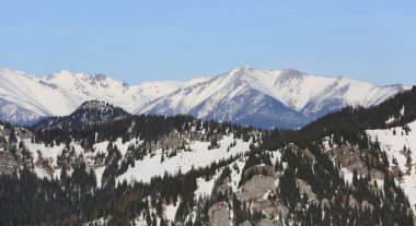 Slovakya 'daki Alçak Tatra dağlarında kış manzarası