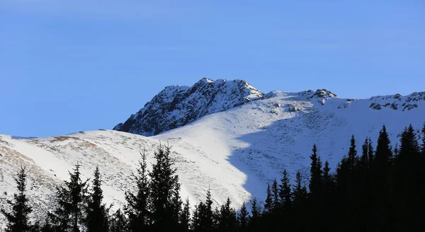 Lwintwr Paisaje Con Montañas Bajas Tatra Eslovaquia — Foto de Stock