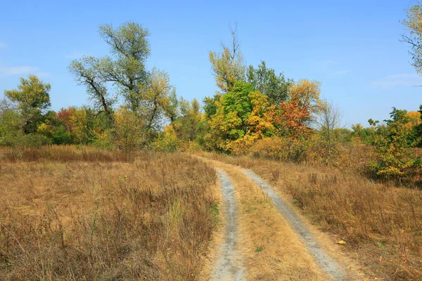 Rut Route Tourner Dans Forêt Automne — Photo