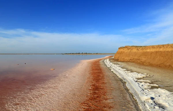 Död Saltsjö Strand Blå Himmel Rosa Salt Sjö Nära Azovska — Stockfoto