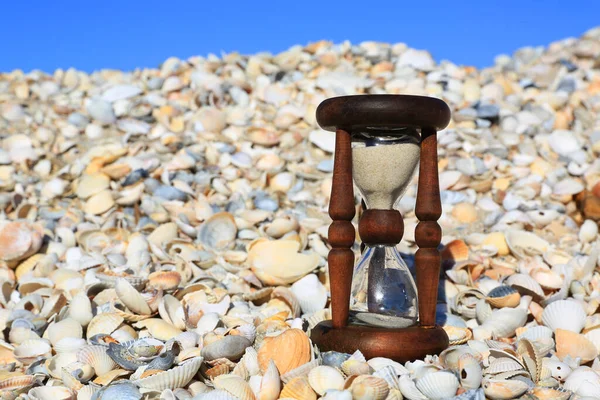 Alte Sanduhr Zwischen Muscheln Ufer — Stockfoto