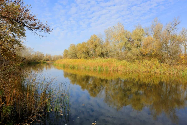 Bella Giornata Autunnale Tranquilla Soleggiata Sul Fiume — Foto Stock