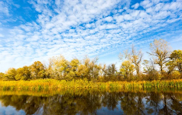 Herbstlandschaft See Mit Netten Wolken Über Gelbem Wald — Stockfoto