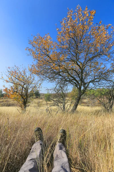 Туристические Ноги Лежат Сухой Траве Деревьями Солнечный День Голубым Небом — стоковое фото