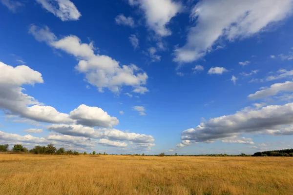 Beaux Nuages Automne Sur Les Prairies Sèches Dans Steppe — Photo