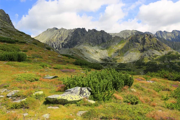 Bonito Paisaje De Montana En Tatras Eslovaquia Verde Pasto Stock Photo 230385164