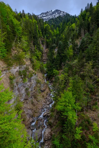 小河在瑞士山 — 图库照片