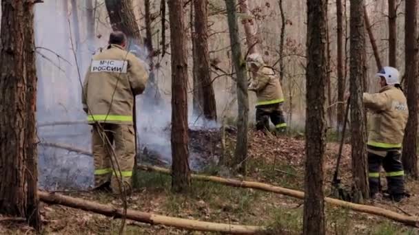 Brandweerlieden blussen de brand in het bos. — Stockvideo