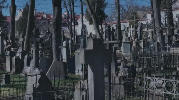 Walking in the old cemetery — Stock Video