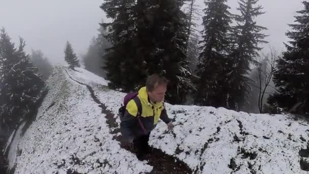 Senderismo solo en Suiza Montañas de los Alpes — Vídeos de Stock