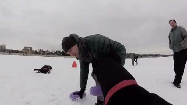 Κατάρτιση και παίζοντας με τα σκυλιά Ντόμπερμαν σε χιονισμένο πεδίο — Αρχείο Βίντεο