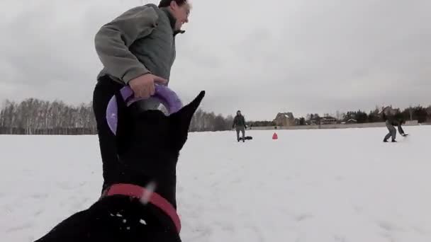 Навчання і граючи з собаками доберманів на snowy сфери — стокове відео