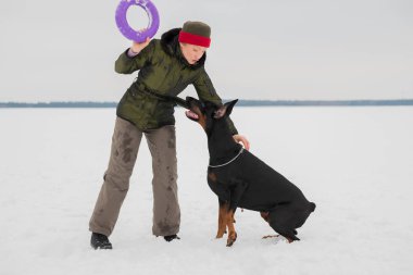 Eğitim ve Dobermans köpeklerle karlı bir sahada oynamak