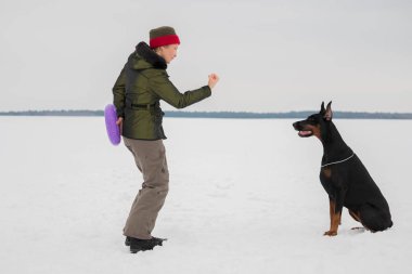 Eğitim ve Dobermans köpeklerle karlı bir sahada oynamak