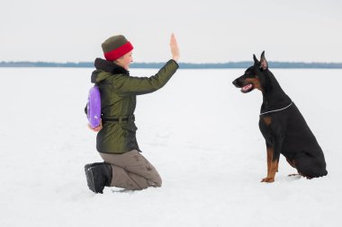 Eğitim ve Dobermans köpeklerle karlı bir sahada oynamak