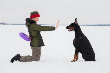 Eğitim ve Dobermans köpeklerle karlı bir sahada oynamak
