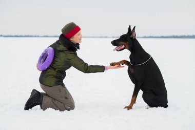 Eğitim ve Dobermans köpeklerle karlı bir sahada oynamak