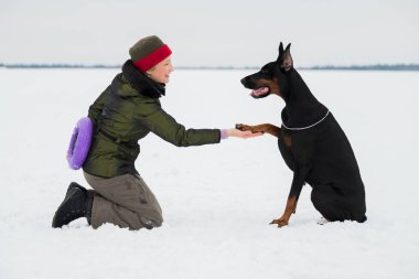 Eğitim ve Dobermans köpeklerle karlı bir sahada oynamak