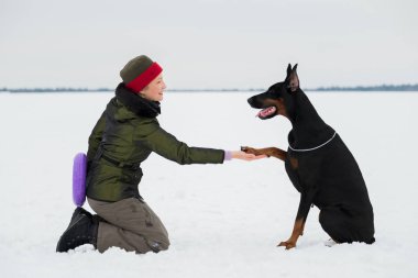 Eğitim ve Dobermans köpeklerle karlı bir sahada oynamak