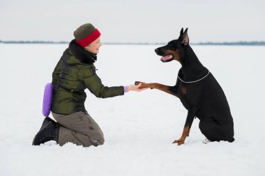 Eğitim ve Dobermans köpeklerle karlı bir sahada oynamak