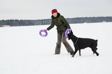 Eğitim ve Dobermans köpeklerle karlı bir sahada oynamak