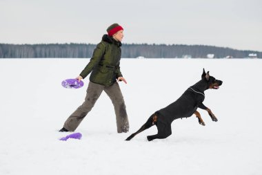 Eğitim ve Dobermans köpeklerle karlı bir sahada oynamak