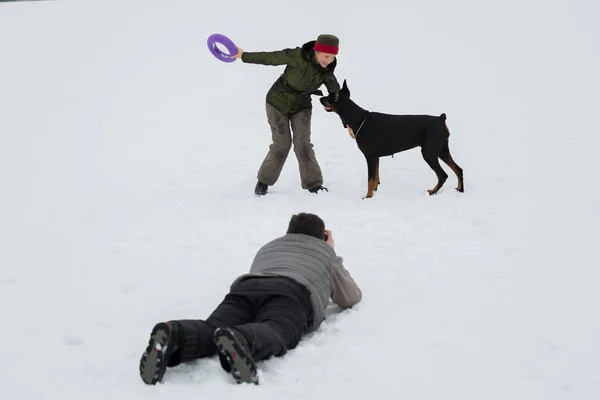 Entrenar y jugar con perros Dobermans en un campo cubierto de nieve —  Fotos de Stock