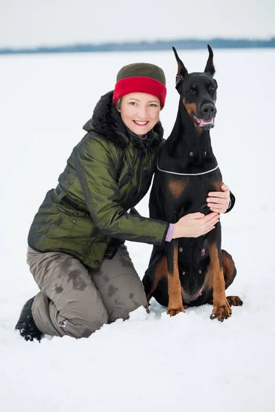 Entrenar y jugar con perros Dobermans en un campo cubierto de nieve —  Fotos de Stock