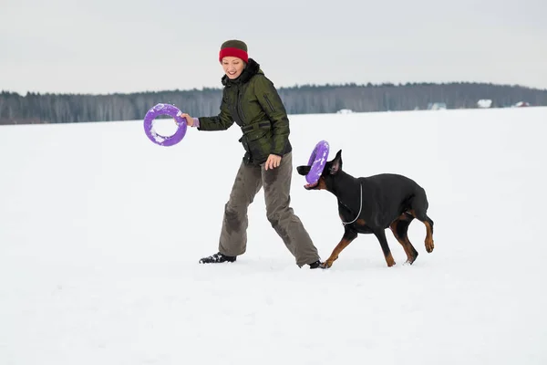 एक बर्फीले मैदान पर कुत्तों के साथ प्रशिक्षण और खेलना — स्टॉक फ़ोटो, इमेज