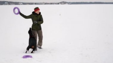 Eğitim ve Dobermans köpeklerle karlı bir sahada oynamak
