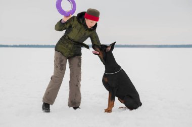 Eğitim ve Dobermans köpeklerle karlı bir sahada oynamak
