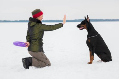 Eğitim ve Dobermans köpeklerle karlı bir sahada oynamak