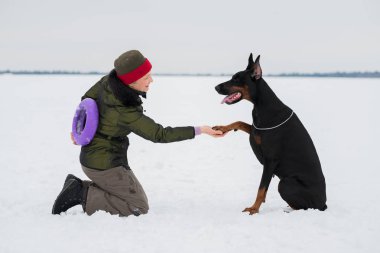 Eğitim ve Dobermans köpeklerle karlı bir sahada oynamak