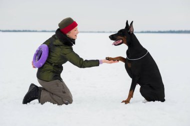 Eğitim ve Dobermans köpeklerle karlı bir sahada oynamak