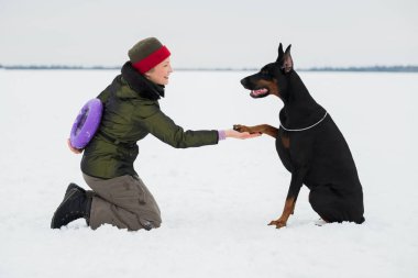 Eğitim ve Dobermans köpeklerle karlı bir sahada oynamak
