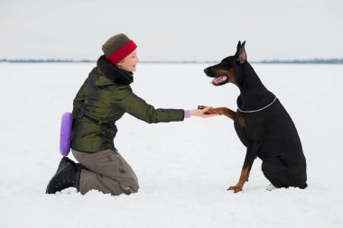 Eğitim ve Dobermans köpeklerle karlı bir sahada oynamak