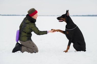 Eğitim ve Dobermans köpeklerle karlı bir sahada oynamak